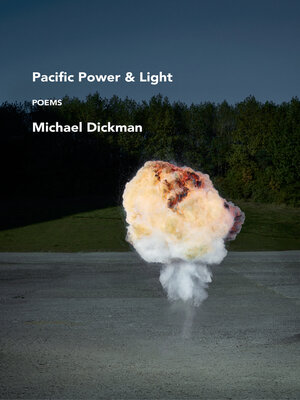 Pacific Power & Light - ebook